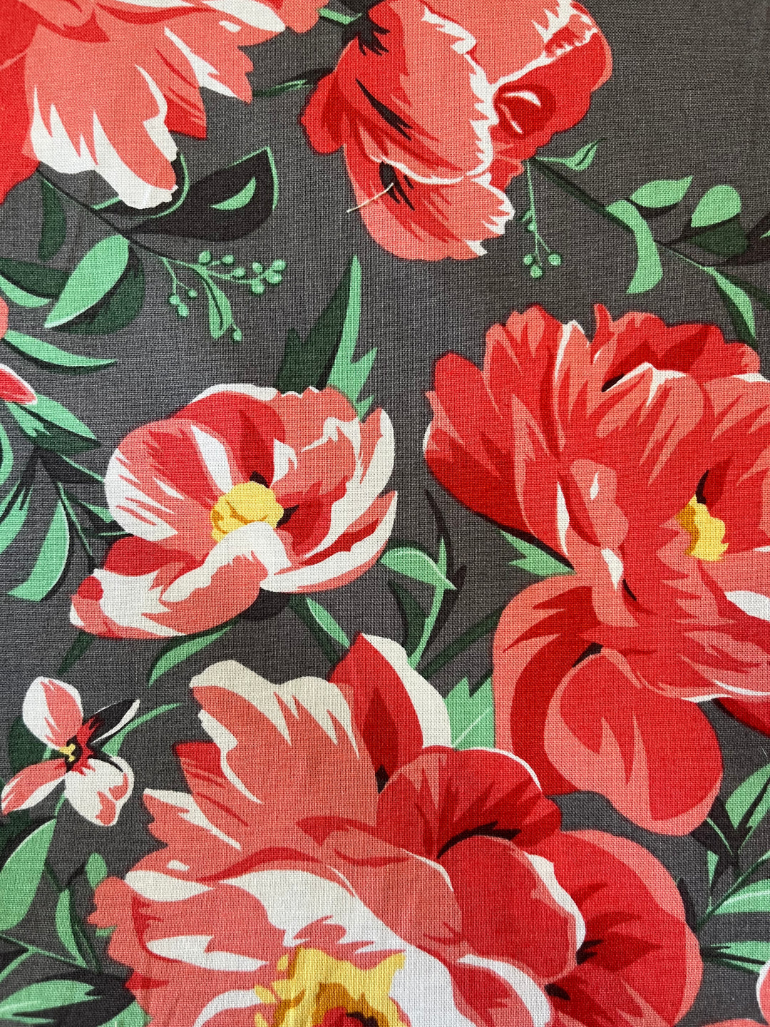 Michael Miller Cabbage Rose border Cotton Fabric by the yard