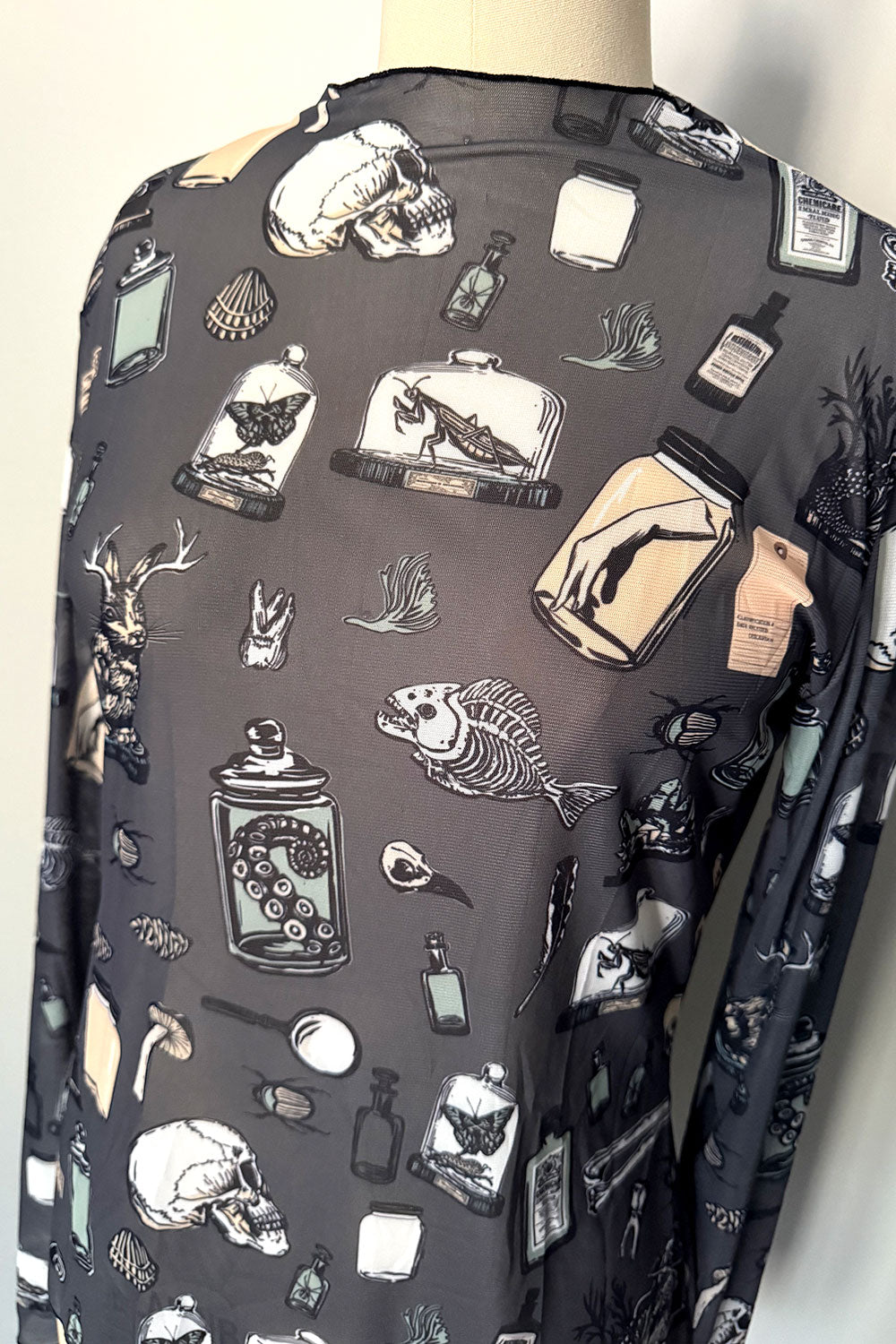 Rare Specimens See Thru Mesh Top - PRE-ORDER