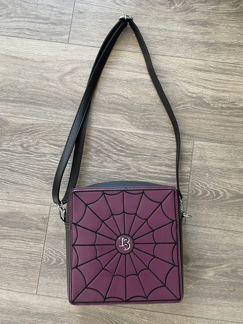 Spiderweb Window Crossbody Purse